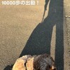 【最新】木村拓哉のインスタ投稿が物議！中居正広引退にSNSで賛否両論『10000歩の出動』の真意とは
