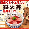 なか卯 南まぐろ中とろ入り鉄火丼 まずい？美味しい？口コミ・実食レビュー・カロリーまとめ
