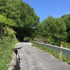 緑のグラデーションと荒涼とした埠頭へ自転車散歩：ポタリング