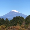 今朝の景色