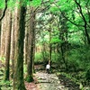 ほぼ東海道を歩く旅⑧【箱根湯本～芦ノ湖】