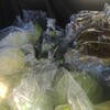 ブロッコリー、白菜、サニーレタス冬野菜の出荷の始まり！