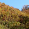 飛騨の紅葉　【数河リゾートスキー場　山頂】