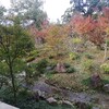 京都の穴場で紅葉のお庭を楽しみました