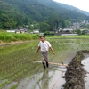 裸足で田んぼの草取り　なかなか楽しい