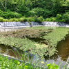 はじき野の池（仮称）（新潟県佐渡）