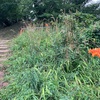 二子山古墳  前橋市総社町植野
