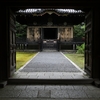 夏の雨に濡れる金地院