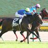 次走は来月１９日の東京・芝１８００ｍを目指すこととなりました。☆アンダープロット