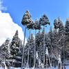 大源太の雪景色きれいです