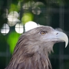 初めての動物園撮影（天王寺動物園）