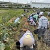 R7年5月31日