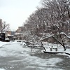 千秋公園の雪景色＊2020年2月