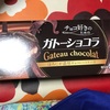 森永製菓　チョコ　好きのためのガトーショコラ　ほろにが濃厚チョコレートケーキだよ