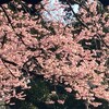こころの状態を映す鏡は、部屋と机とタイムライン