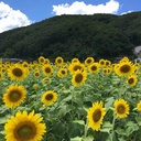 「意地でも定時で帰る」仕事術　〜ゆうパパ奮闘記〜