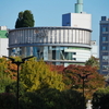 紅葉が彩る街角  『後楽緑道～東京ドームシティ～水道橋駅』