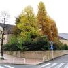 廃墟、取り壊しにしたらアカン ・・・・・ サンプラザ シーズンズ