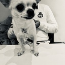 心地よい生活とワクワクする生き方