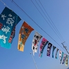 桜行脚第4弾で疲労困憊ｗ　～まずは焼津へ～