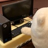 できなかった時間も、自分の時間だった
