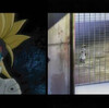 爆丸　バトルブローラーズ２話　「名言誕生（違います」