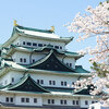 名古屋城の桜🌸