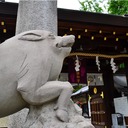 かさがたやまんのフォトダイアリー