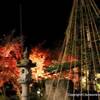 2017 日光・星野邸宅庭園ライトアップ
