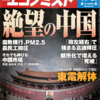 週刊エコノミスト 2013年11月26日号　絶望の中国／東電解体／ＱＥが縮小する日