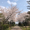 セルフコンパッション水曜日