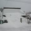 初めて見た本堂の雪