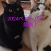 40代ファッションブロガーの2024年年間ベストバイアイテム5選！