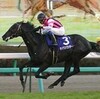 日曜競馬　回顧