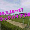 2024,3,16～17 トラックバイアス結果 (中山競馬場、阪神競馬場、中京競馬場)