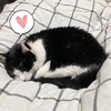 新たな場所取り