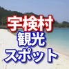 宇検村のふるさと納税は奄美の島ニンニクオイル、うけん車エビオイル、奄美の酢しょうゆ島ニンニク3本セットの一択だったので観光スポットのビーチとカフェをシェア　