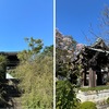 海蔵寺の青い空・竜胆，そして，片瀬海岸の清々しい夕暮れ---花火も！　台風くずれの低気圧が起こした嵐は去り，今日は気持ちの良い秋晴れの一日でした．　むらさきの花袋ひらかぬりんだうが光すがけき露を支ふる　生方たつゑ　　りんだうは目を張りひらく木の下はいまだ濡れいるあかつきの雨　川口美根子　　夕茜内浦凪ぎをわたりきて汀さざなみくれないに染む　加藤克巳