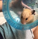 なにしようかなぁ？