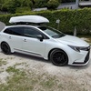 モデルになったコナツ。