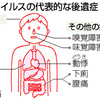 新型コロナウイルスに感染したらどうなるのか...？