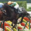 日曜福島11R七夕賞の馬券購入完了♪～小銭競馬～