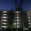 朝散歩