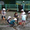 今日の幼稚園は・・