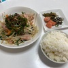 9/11昼食・自宅（相模原市中央区）