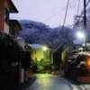 ほんの少しだけ雪が降る！～八王子～