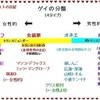 ゲイの分類 (図あり)　ゲイ ホモ オネエ ニューハーフ オカマ の違いについて