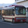 長電バス　下手なのに･･･ポンチョを作る