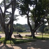サンパウロの公園はこんな感じ♪