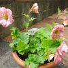5月もどうぞよろしくお願いいたします。